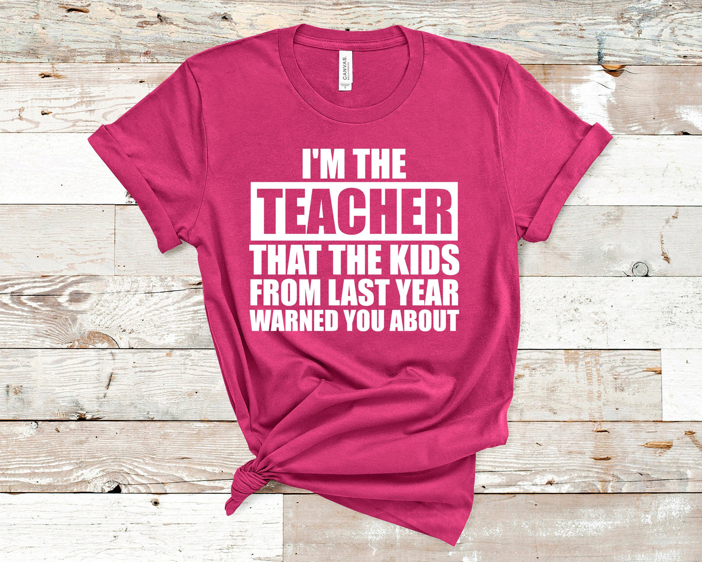 I'm the Teacher That the Kids From Last Year Warned You About Shirt, Teacher Shirt, Teacher Appreciation Gift, Teacher Present, Teacher Life